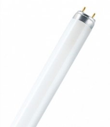 Osram лампа люминисцентная L 18/76 D26mm 590mm (гастрономия) - лампа G13