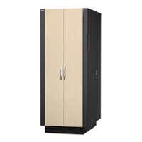 Защищенный звукоизолированный шкаф NetShelter CX 38U («компактный серверный зал»), международная версия