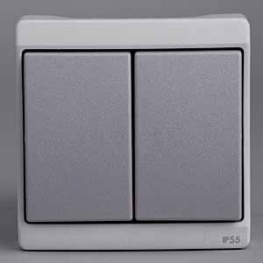 ENN37022 Двухклавишный выключатель комб в блок о/у ,серый, в сборе IP55