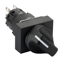 rectangular black selector switch O16-projecting handle 2 positions-2CO