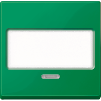 Клавиша с полем для надписи и с окошком для светового индикатора зеленый