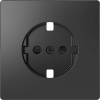 Central plate for SCHUKO socket-outlet insert, shut., anthracite, System Design