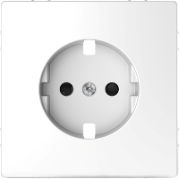 Central plate for SCHUKO socket-outlet insert, shut., lotus white, System Design