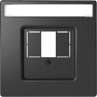Central plate with square opening and label field, anthracite, System Design