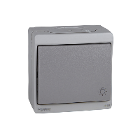 Кнопочный выключатель с символом "свет", 0/у, серый, в сборе IP55