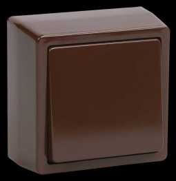 ВС20-1-0-БК Выключатель одноклавишный для открытой установки 'БРИКС' цвет: коричневый