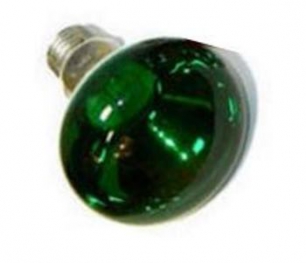 Лампа накаливания цветная зеленая GE - CONCENTRA R63 GREEN 35- 40W 230V E27 (снято с производства) - 310480