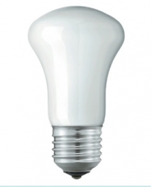 Лампа накаливания криптоновая - Philips Kryp 25W E27 230V E50 WH 1CT/12X10F 871150034135884