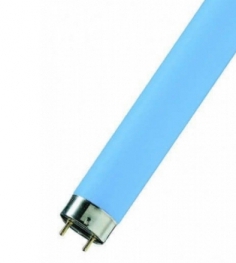 Лампа люминесцентная цветная OSRAM Colored T8 - 58W/67 1600lm G13 синяя - 4050300024295