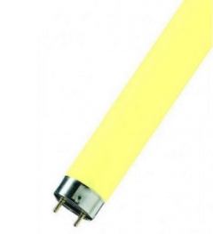 Лампа люминесцентная цветная OSRAM Colored T8 - 58W/62 3830lm G13 желтая -4008321232748