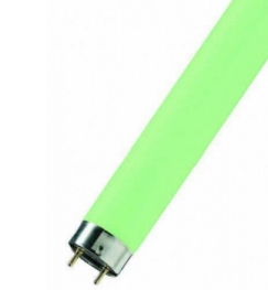 Лампа люминесцентная цветная OSRAM Colored T8 - 36W/66 4400lm G13 зеленая - 4050300024257