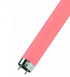 Лампа люминесцентная цветная OSRAM Colored T8 - 18W/60 900lm G13 красная - 4050300024219