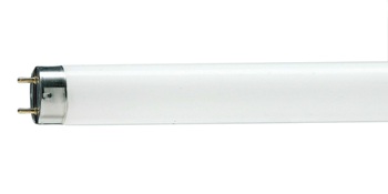 Лампа люминесцентная T8 - Philips TL-D 18W/33-640 SLV/25 1200lm - 928048003351