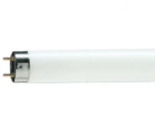 Лампа люминесцентная T8 - Philips TL-D 1m 36W/54 - 765 SLV/25 871150070288340