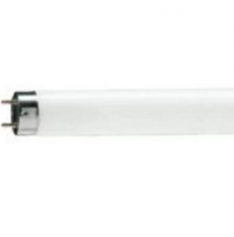 Лампа люминесцентная T8 - Philips MASTER TL-D HF Super 80 32W/830 SLV/25 871150063150340 (снято с производства)