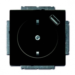 Розетка с USB ABB BASIC55, скрытый монтаж, с заземлением, со шторками, chateau-black, 2011-0-6195