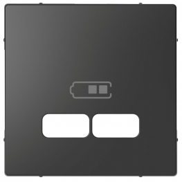 SE Merten D-Life Антрацит Накладка центральная для USB механизма 2,1А, Schneider Electric, Антрацит, MTN4367-6034
